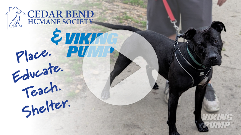 thumbnail image for video about the Cedar Bend Humane Society and Viking Pump ROOTS