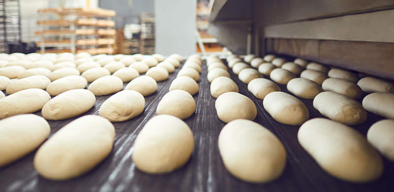 dough rising on a sheet