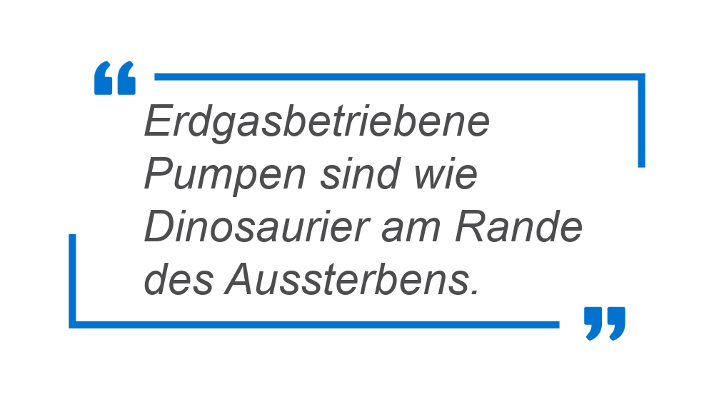 Zapfsäulen sind wie Dinosaurier am Rande des Aussterbens. 