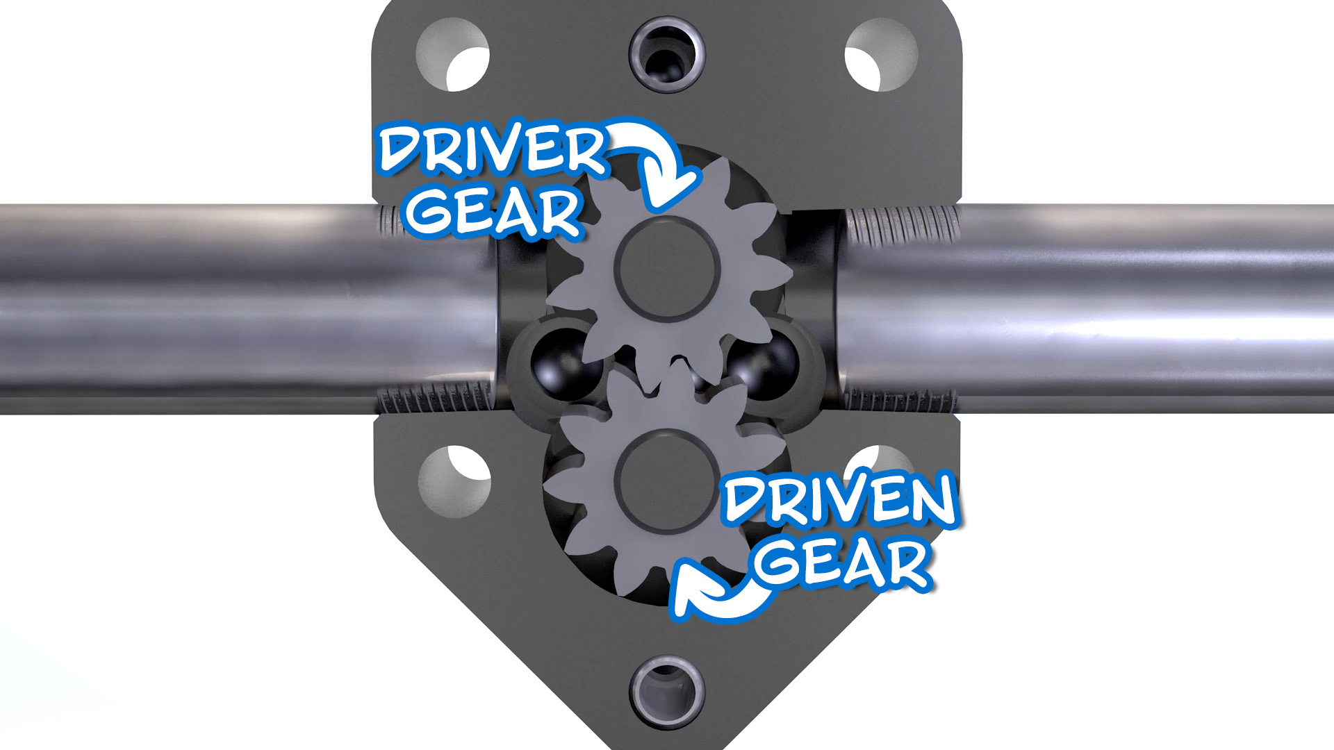 Image showing the driver and driven gears in an external gear (spur gear) pump.